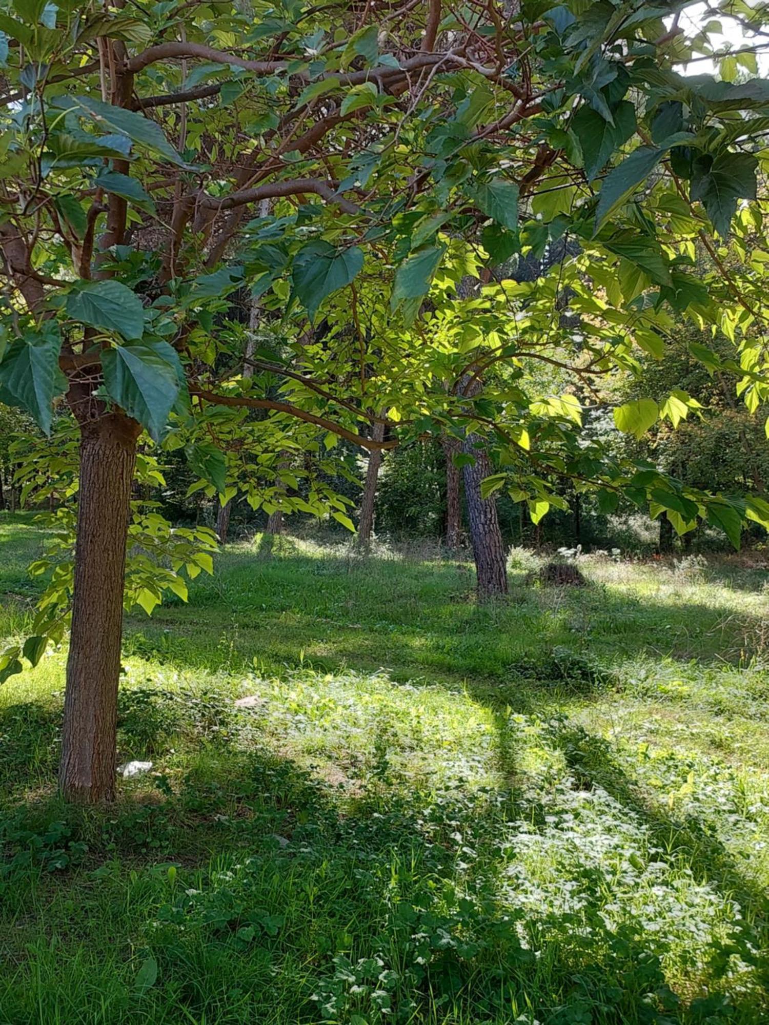 A'Studio 地拉那 外观 照片
