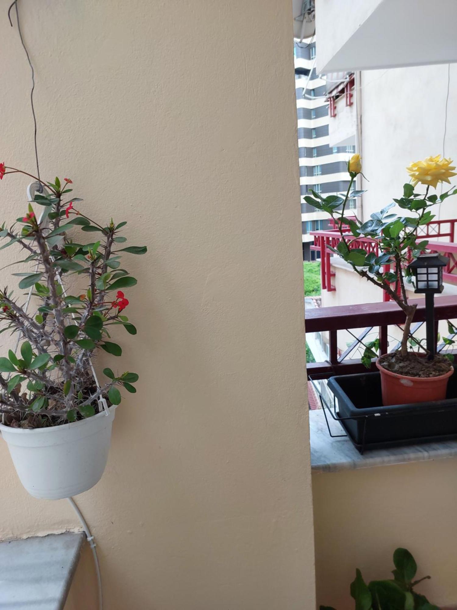 A'Studio 地拉那 外观 照片